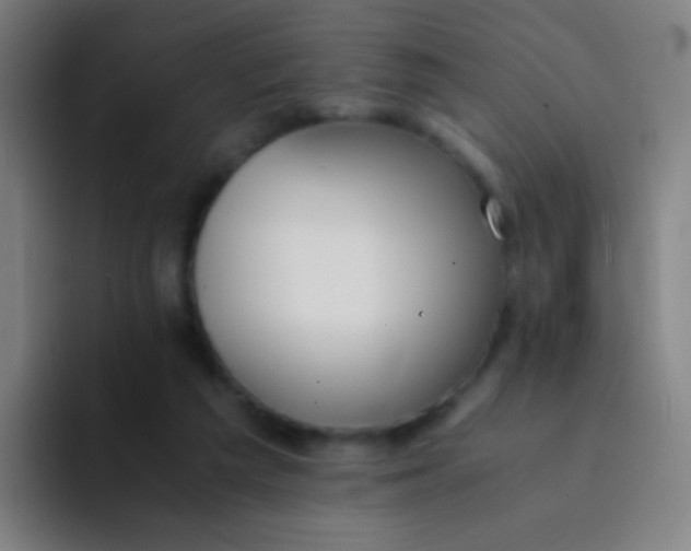 X0000094320209200711161936