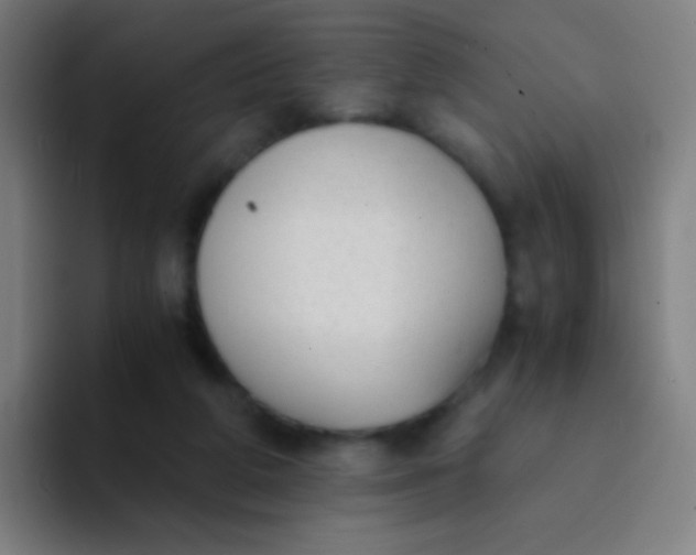 X0000094320210200711161936