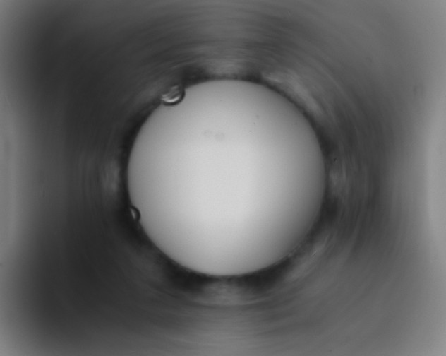 X0000094320211200711161936