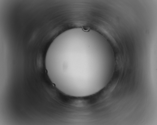 X0000094320212200711161936