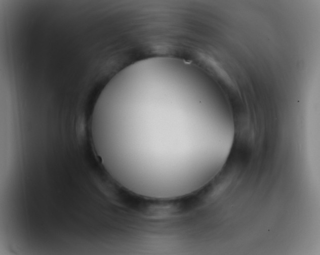 X0000094320213200711161936