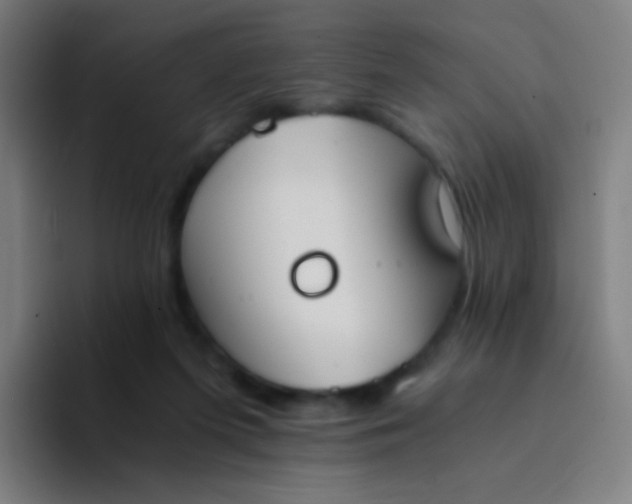 X0000094320215200711161936
