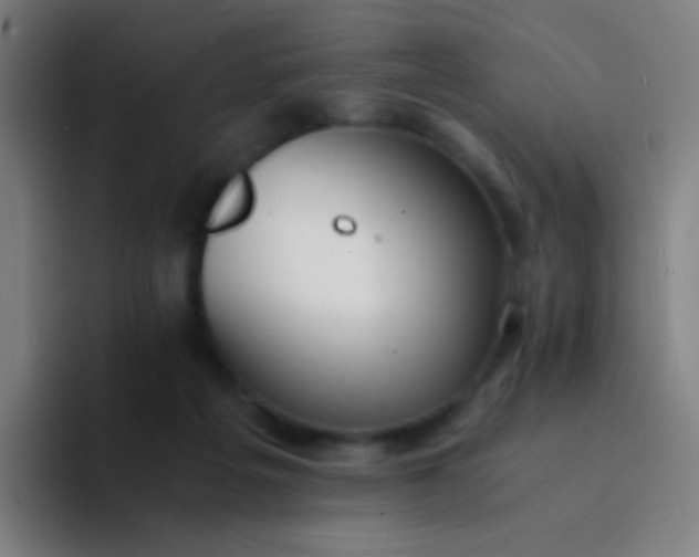 X0000094320217200711161936