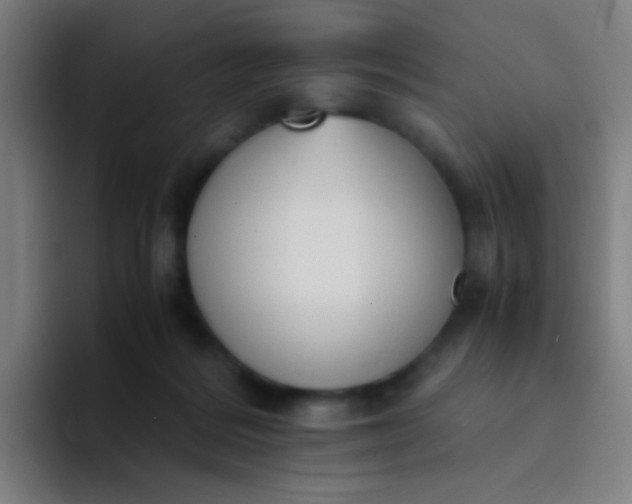 X0000094320220200711161936