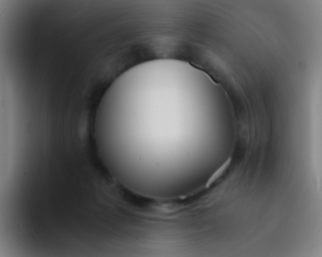 X0000094320221200711161936