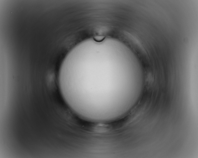 X0000094320222200711161936