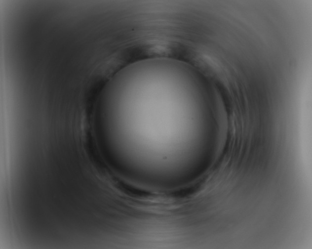 X0000094320223200711161936