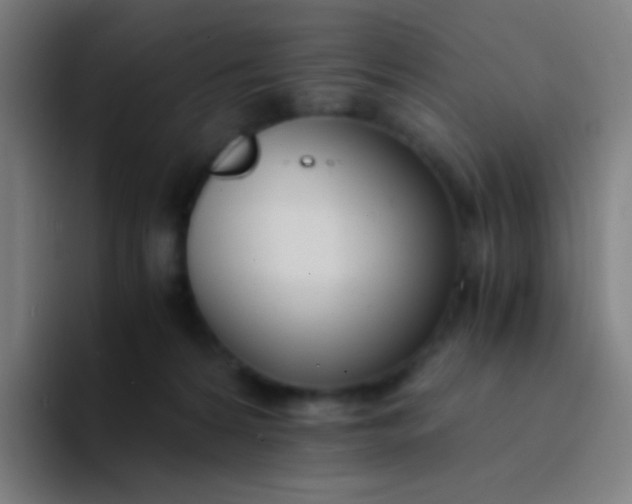 X0000094320224200711161936