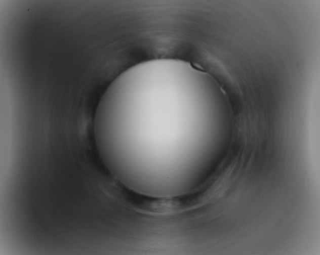 X0000094320225200711161936