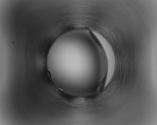 X0000094320227200711161936