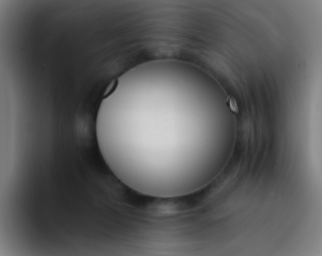 X0000094320228200711161936