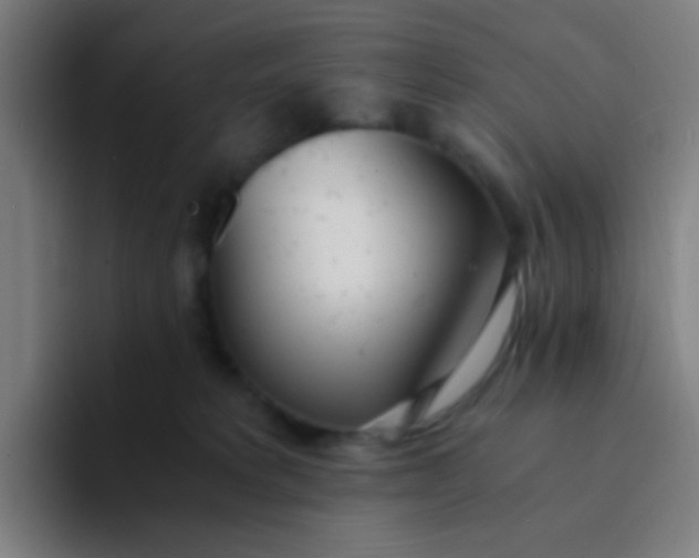 X0000094320229200711161936