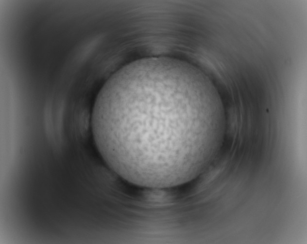 X0000094320230200711161936