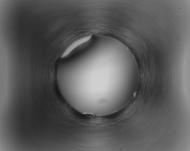 X0000094320231200711161936