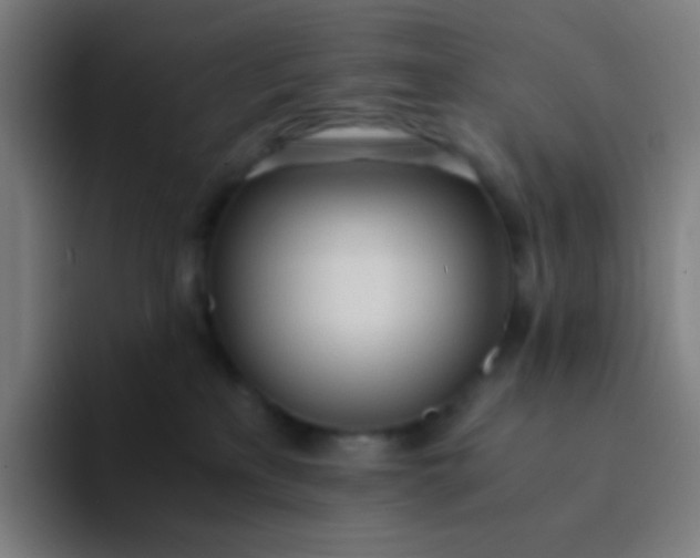 X0000094320233200711161936