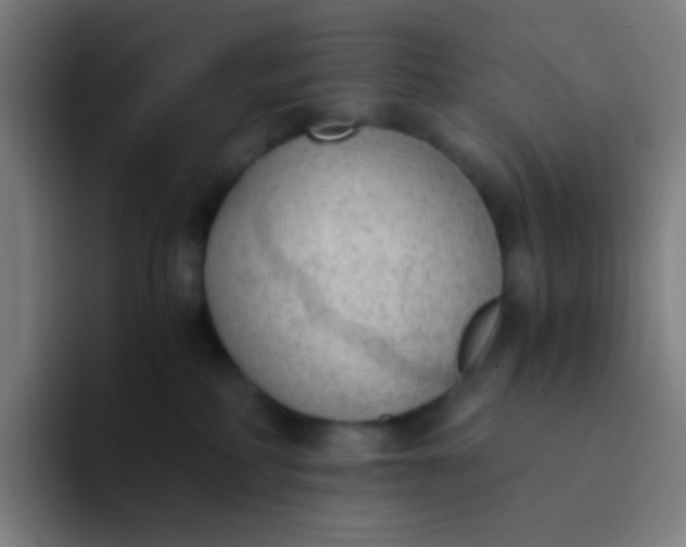 X0000094320234200711161936