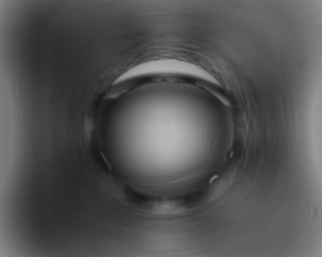 X0000094320235200711161936