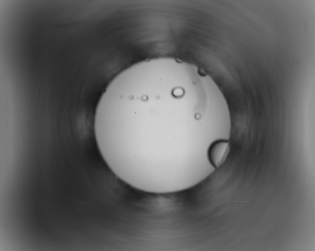 X0000094320236200711161936