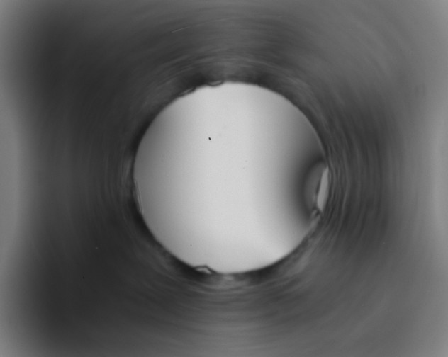 X0000094320239200711161936