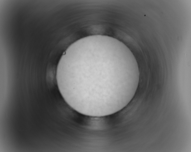 X0000094320240200711161936