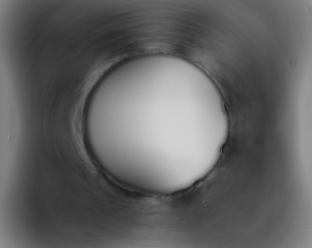 X0000094320241200711161935