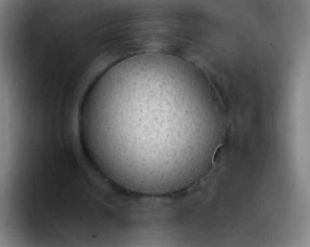 X0000094320242200711161935