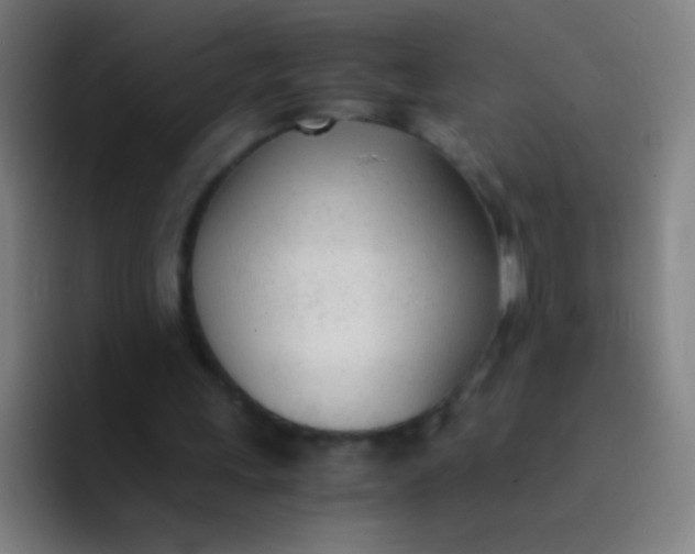 X0000094320243200711161935