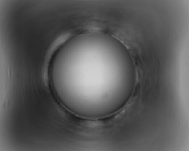 X0000094320245200711161935