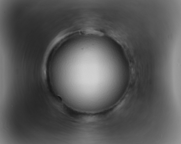 X0000094320246200711161935