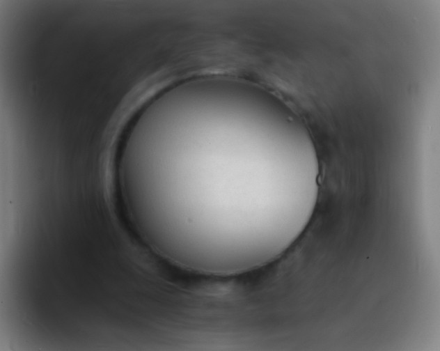 X0000094320247200711161935