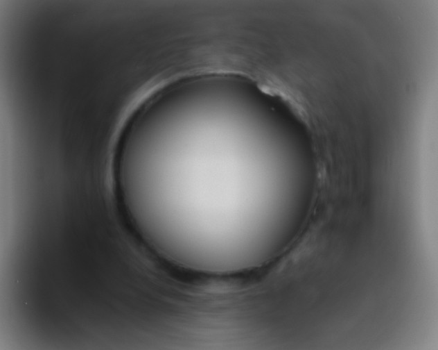 X0000094320248200711161935