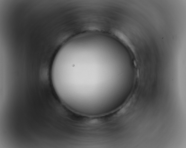 X0000094320249200711161935