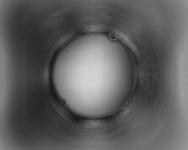 X0000094320250200711161935