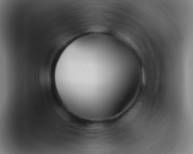X0000094320252200711161935