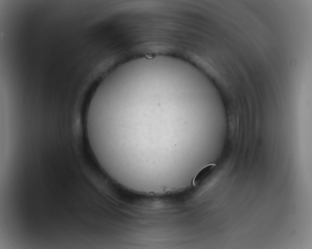 X0000094320254200711161935