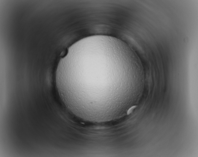 X0000094320255200711161935