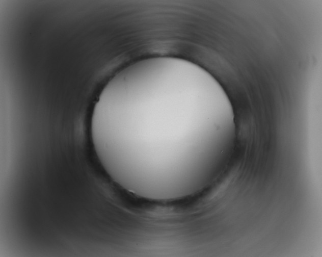 X0000094320256200711161935