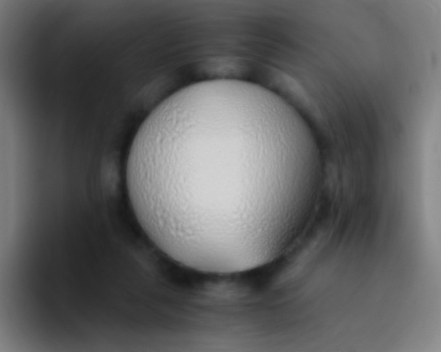 X0000094320259200711161935