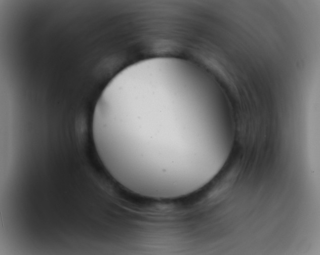 X0000094320260200711161935