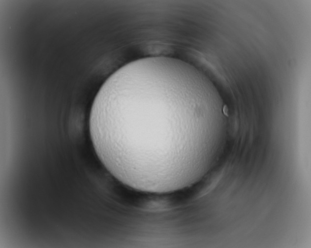 X0000094320263200711161935