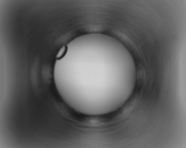 X0000094320264200711161935