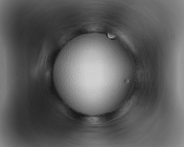 X0000094320265200711161935