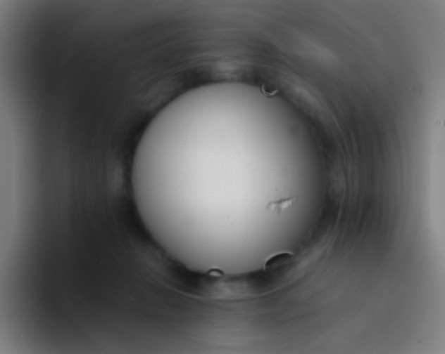 X0000094320270200711161936