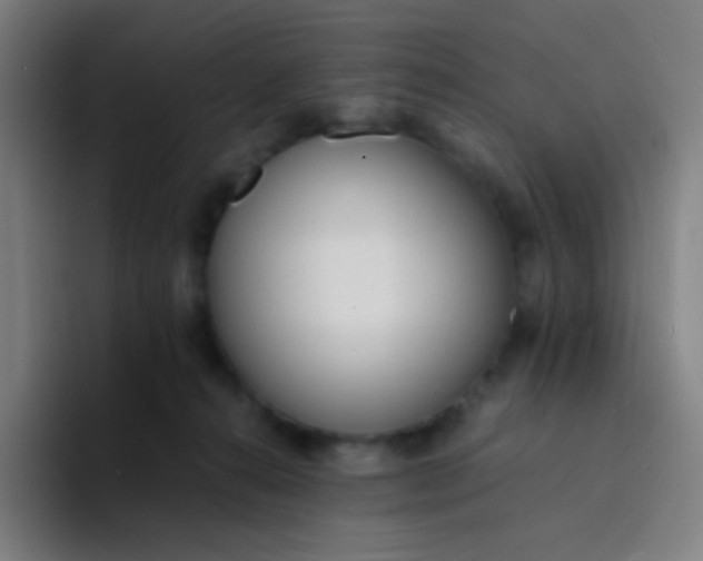 X0000094320272200711161936