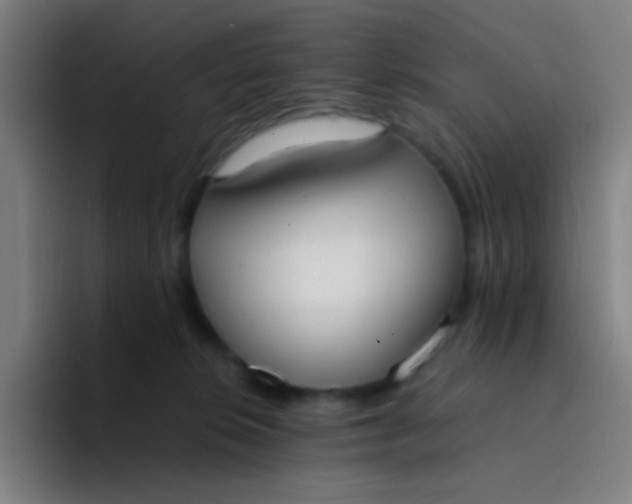 X0000094320276200711161936