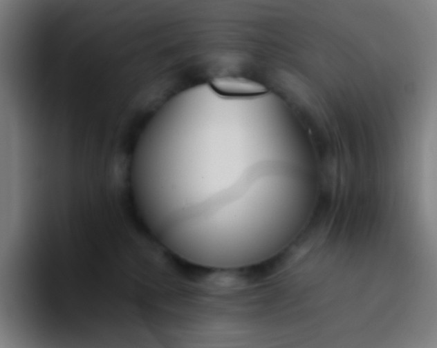 X0000094320280200711161936