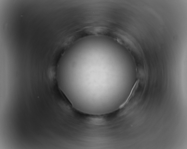 X0000094320284200711161936