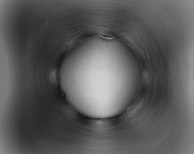 X0000094320286200711161936