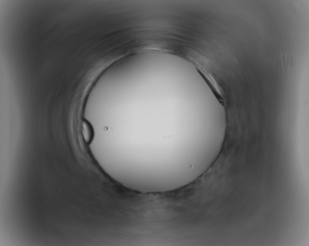 X0000094320289200711161935