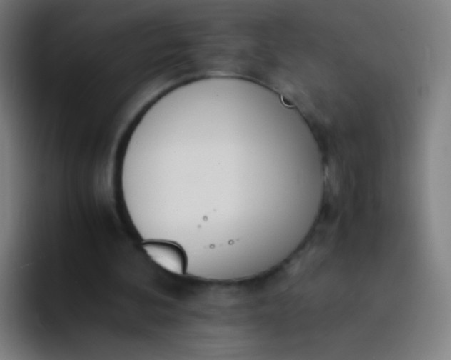 X0000094320292200711161935